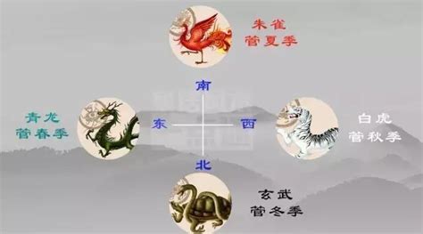 左青龍 風水|左青龍、右白虎在風水上的真正用法！